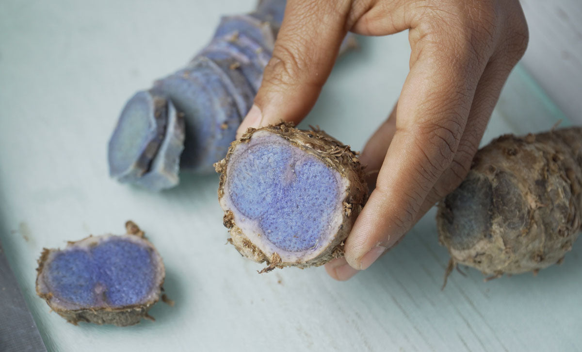Organic Black Turmeric | Kaali Haldi Powder